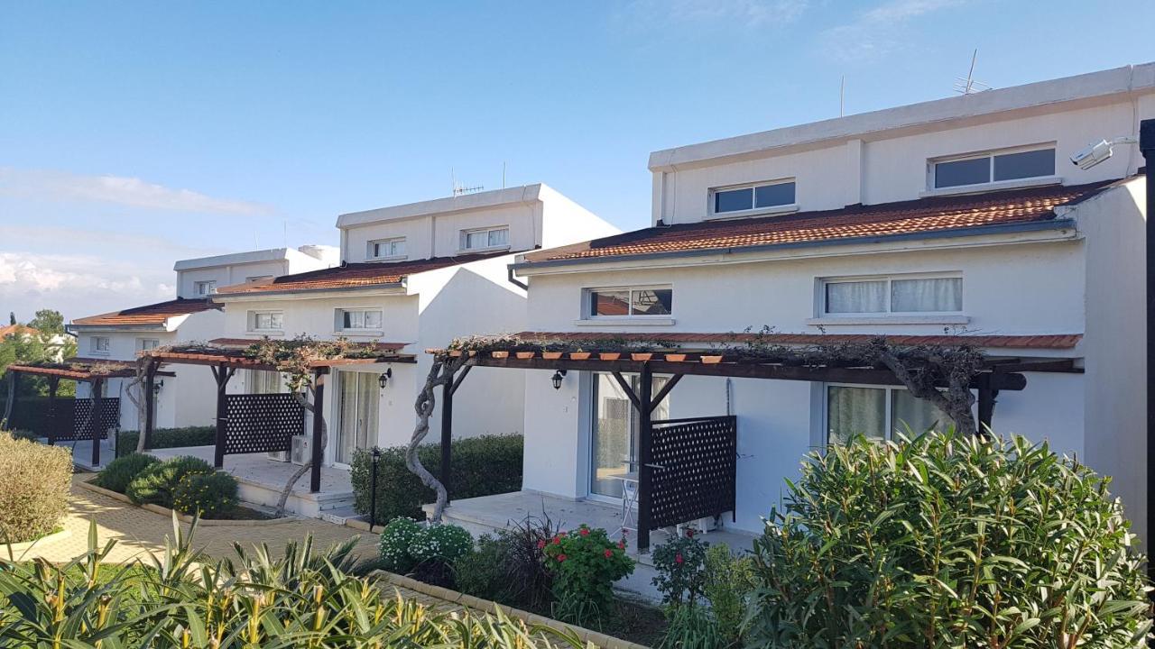 מלון Karavas  Citrus Tree Gardens מראה חיצוני תמונה